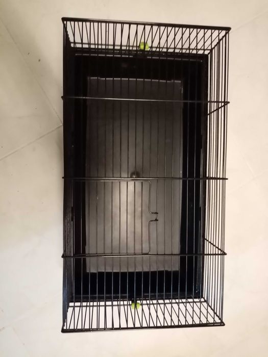 Gaiola hamster media