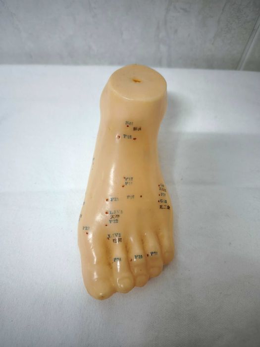 MTC - figura microssistema do pé