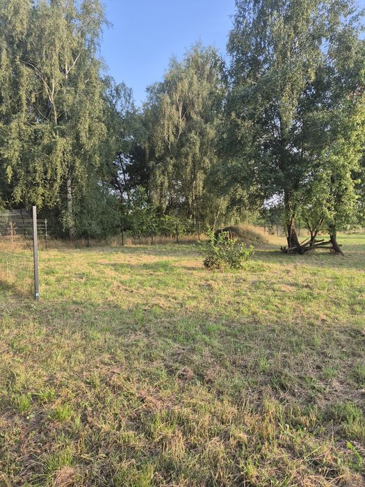 Działka Bednary gm. Pobiedziska