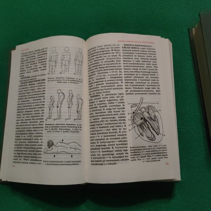 Mała encyklopedia medycyny