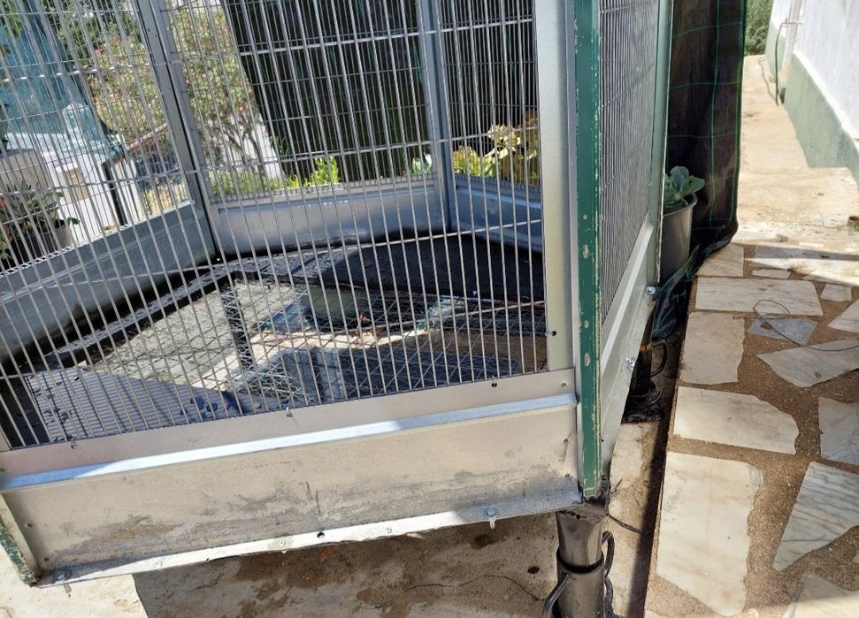 Venda de viveiro pássaros