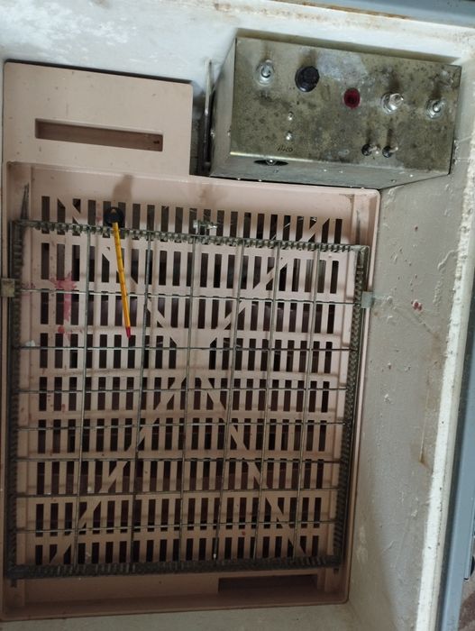 Інкубатор Наседка1