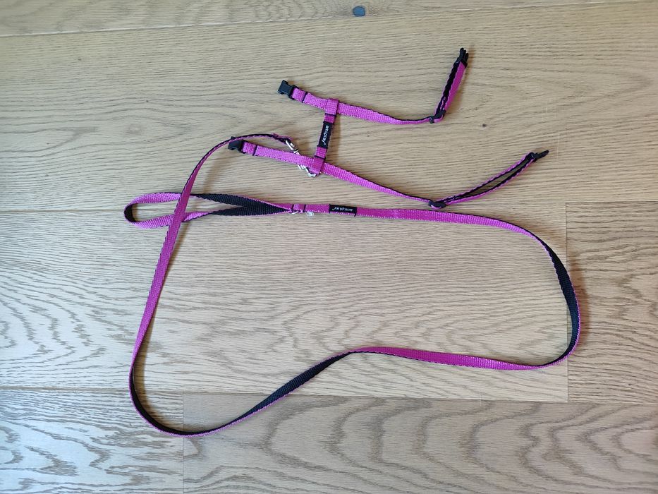 Amiplay szelki - smycz dla kota S