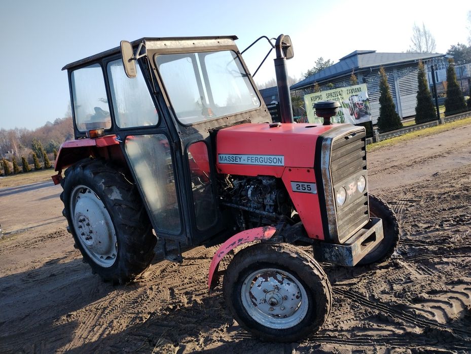 Sprzedam Massey Ferguson 255. Rok 1989.. zamiana