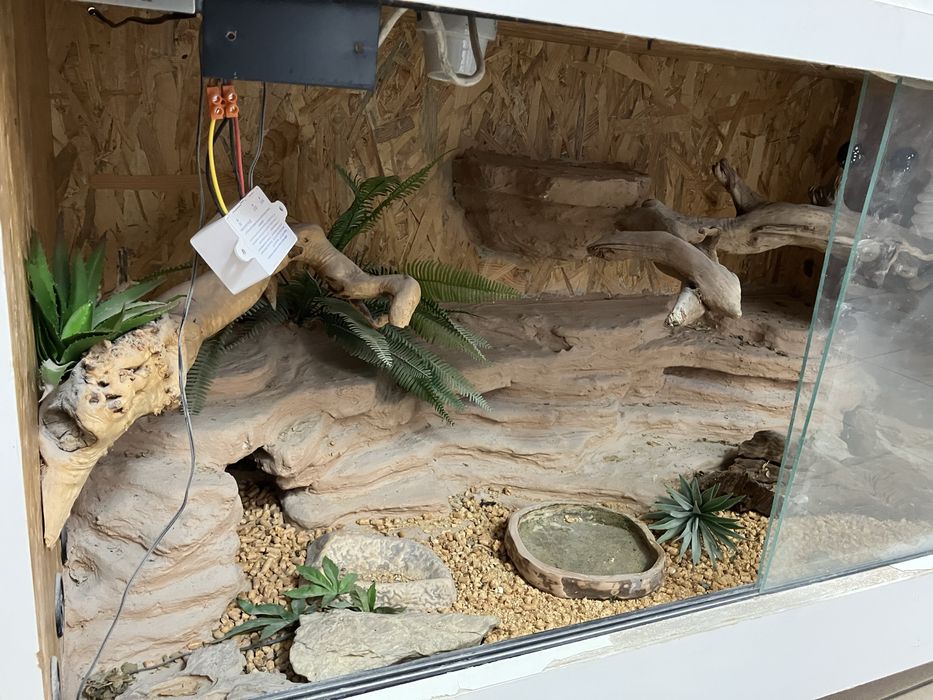 Terrarium urządzone