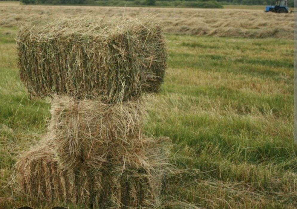 Продам сіно в тюках 55 грн... Та солому  в тюках 25 грн