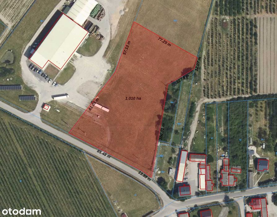Działka możliwe utwardzenie 10 000 m² na wynajem Parking Magazyn DK50