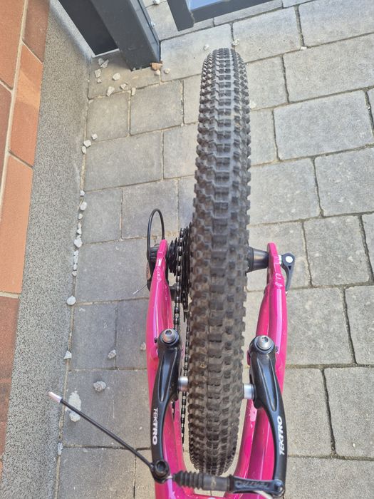 Rower dziecięcy Frog 20 cali