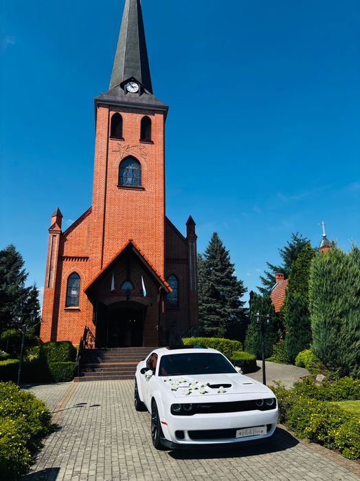 Wynajem Auta na Ślub Maserati Ghibli , Dodge Chellenger 6,4 ScatPack