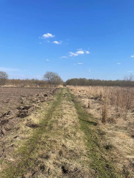 Продаж земельної ділянки с. Сокільники