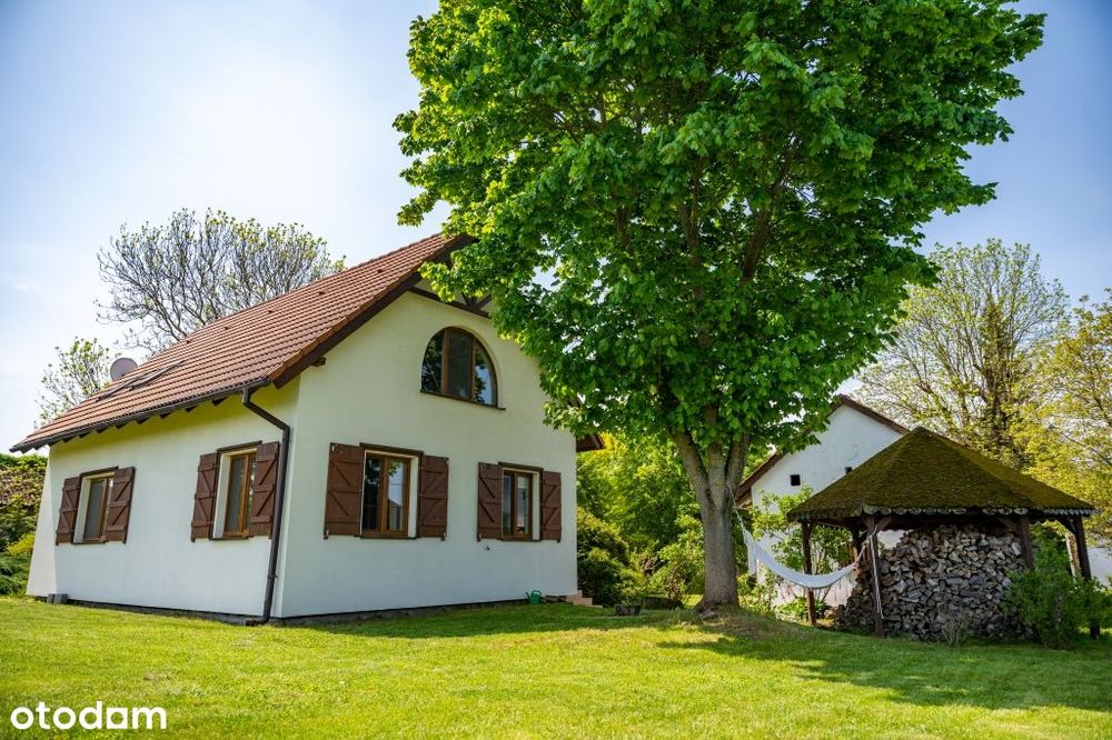 Mazurska Sielanka z Własną Linią Brzegową - bezpośrednio