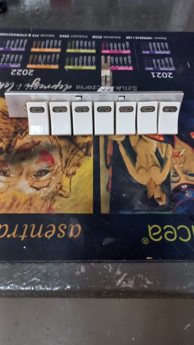 Registry do akordeonu Viktoria Flis