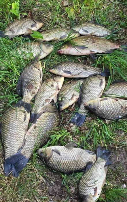 Рибалка / риболовля