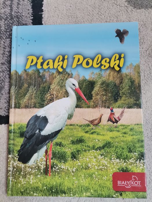 Książka Ptaki Polski