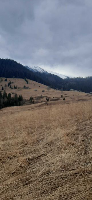 Від власника земельна ділянка в с.Дземброня.