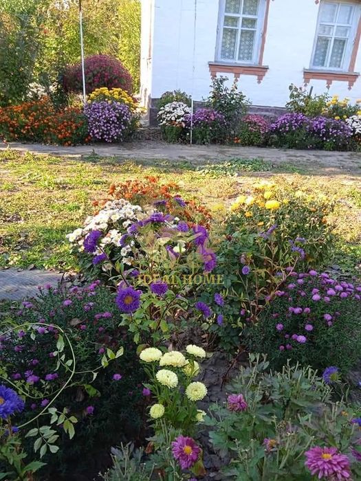 Продам будинок по програмівідновлення у Житних Горах