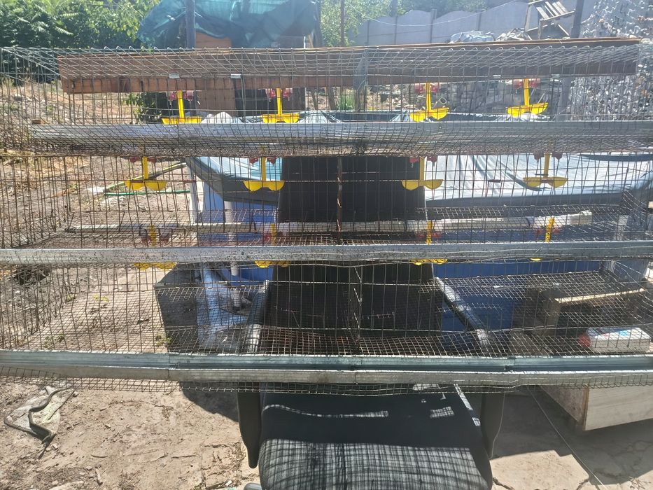 Клетки для перепелов