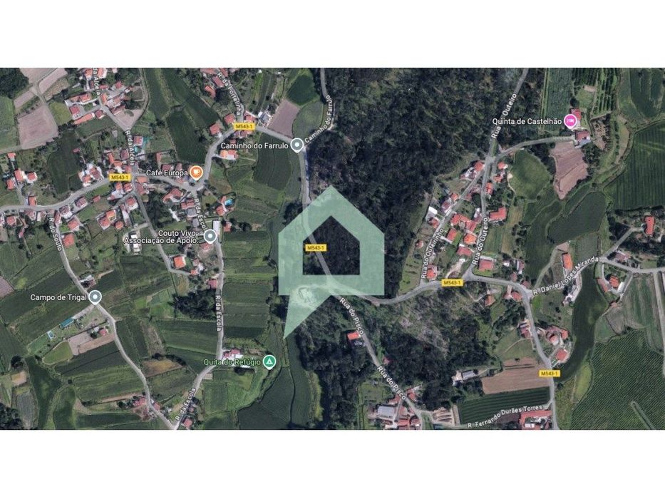 Bouça centro Couto Barcelos