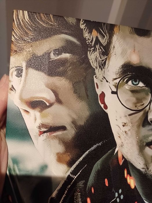 Nadruk na płótnie Harry Potter