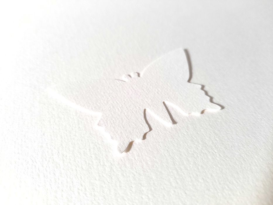 Cartões em forma de borboleta em papel de aguarela