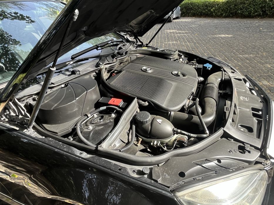 C220 Blue Efficiency531656386943406082