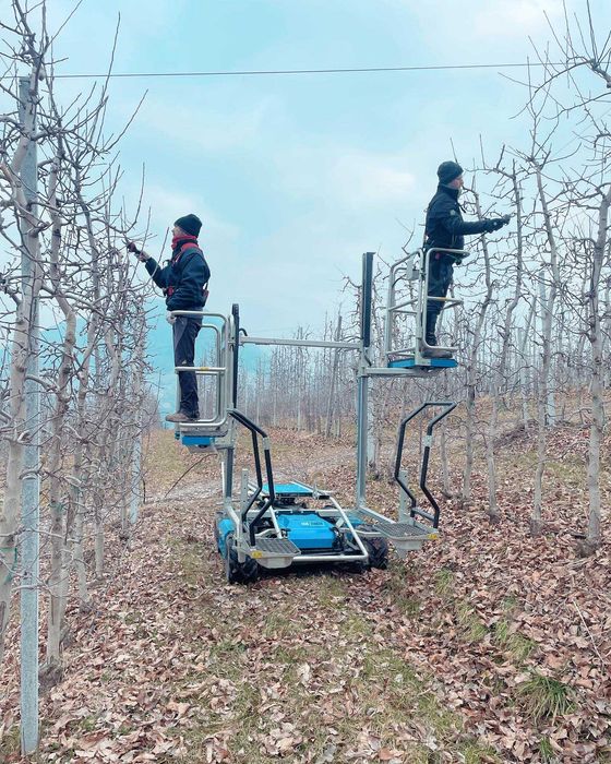 PLANTAFORMA Para recolha de Fruta