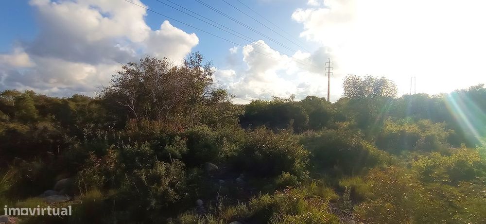 Terreno Rústico  Venda em Conceição e Estoi,Faro