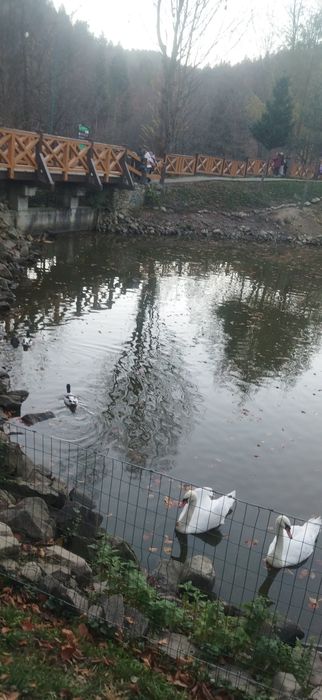 Екскурсії тури в Карпати Закарпаття з Кам'янця-Подільського