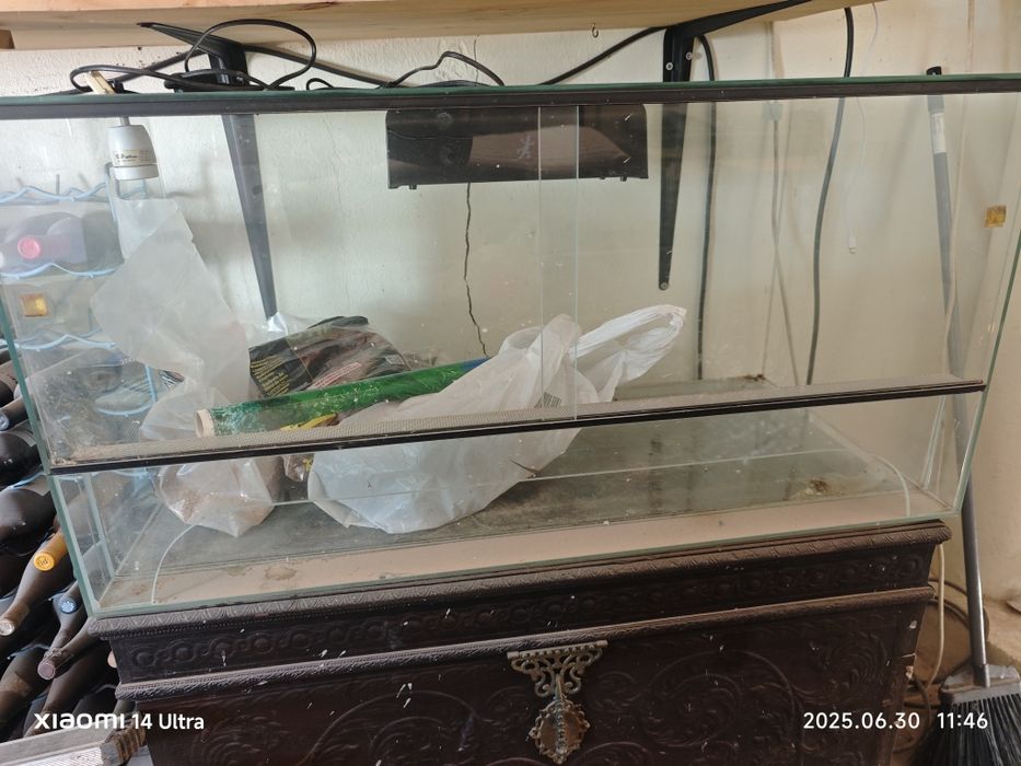 Terrario para repteis