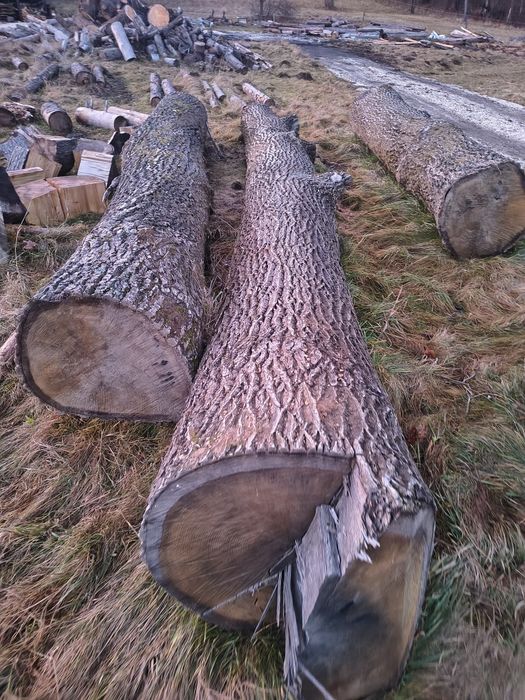 Drewno opalowe brzoza olcha swierk