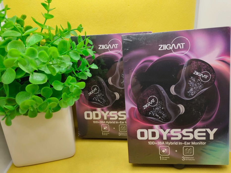 ‼️ ZiiGaat Odyssey (Jack 3.5) - гибридные iem's наушники (1DD+3BA)