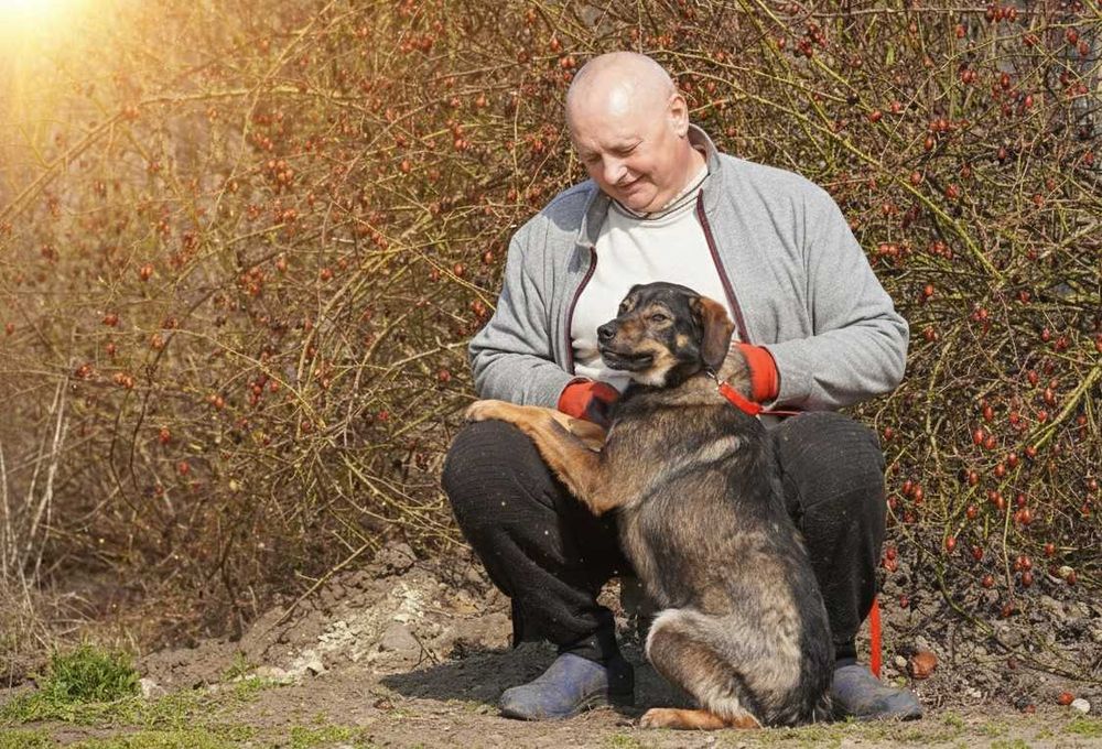 ALEK - fajny, łagodny psiak