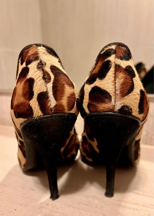 Sapatos trigeza Paulo Brandão