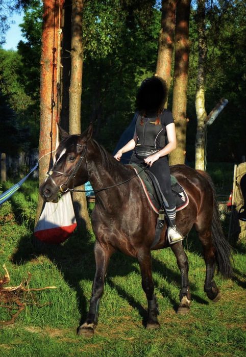 Rozważam  sprzedaż klaczy