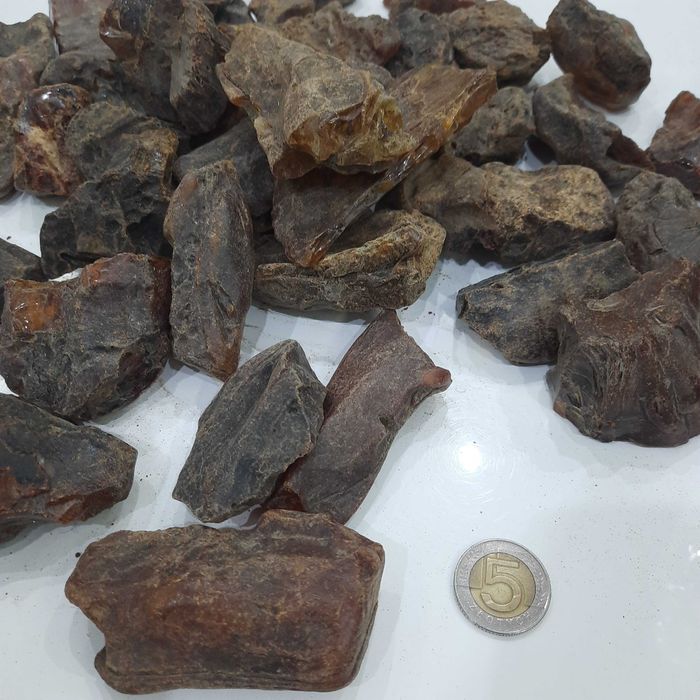 Bursztyn  Ukraiński 20-50g sklejka