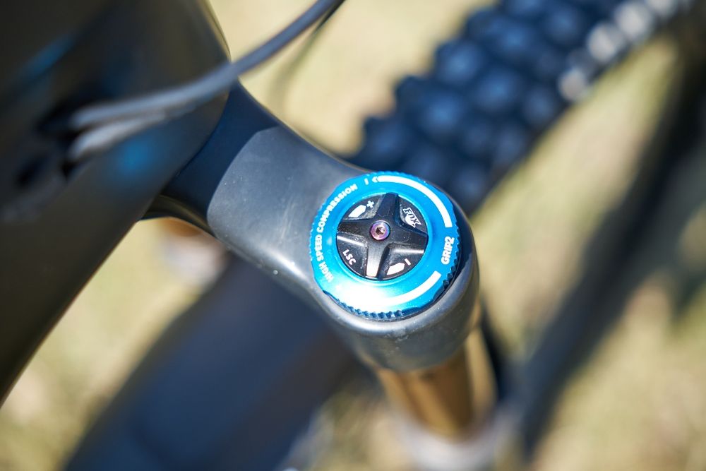 Trek Fuel EXe L 29 Kashima, X01, DT Swiss