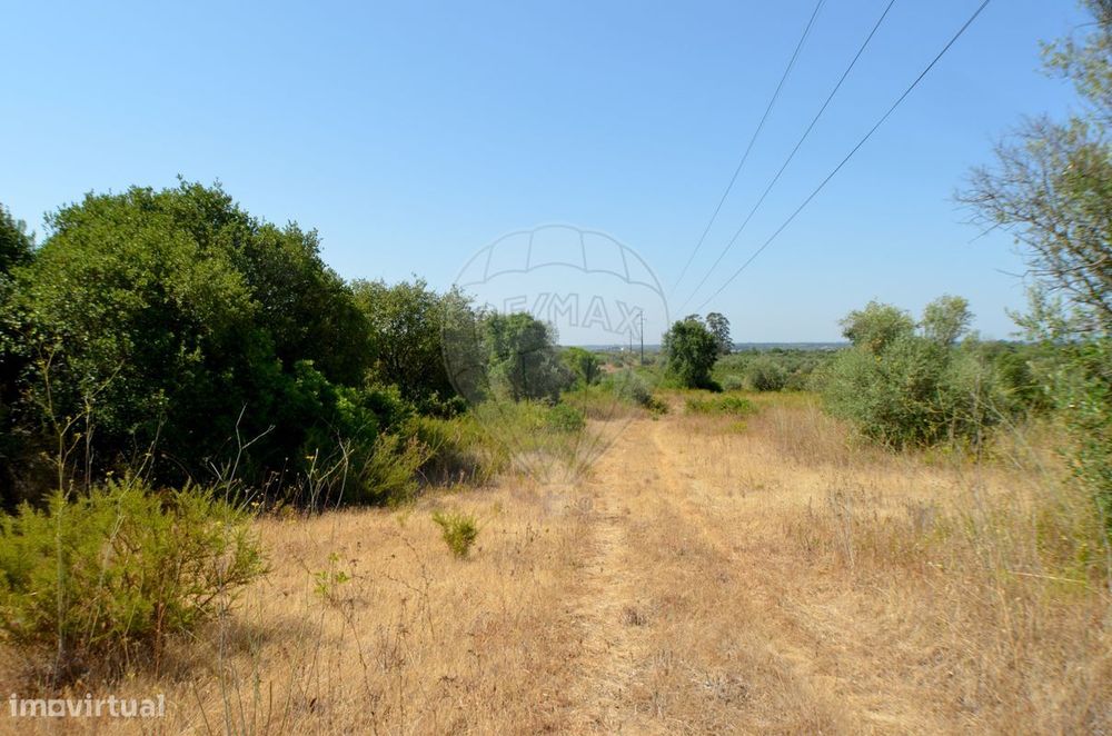 Terreno  para venda