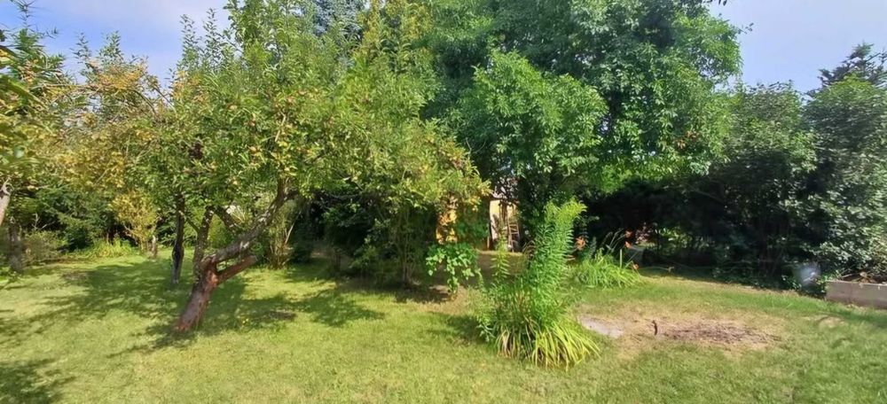 Zdjęcie 6