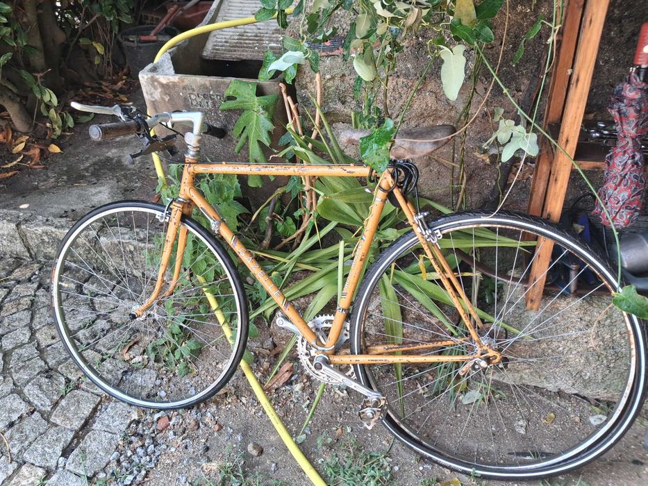 Bicicleta vintage champion mondial Gazelle