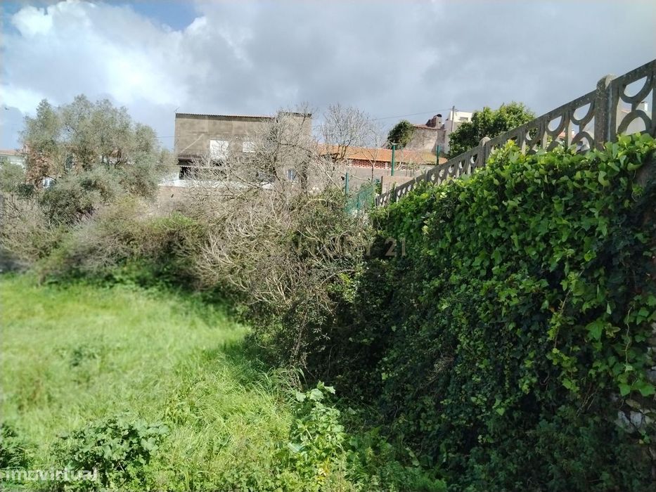 Terreno com possibilidade de construção no Centro de Maiorga - Negocia