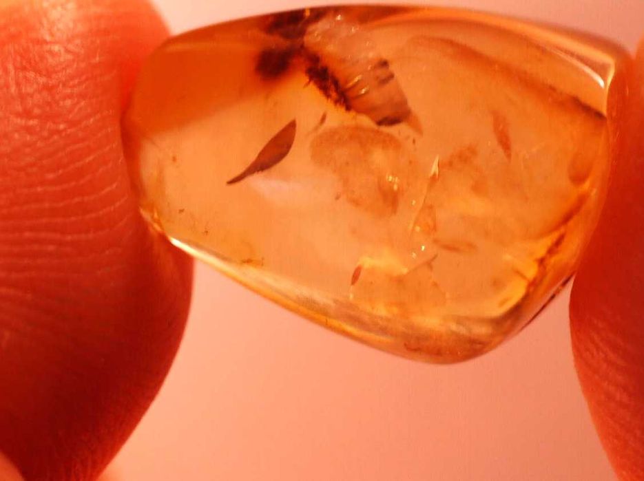 Bursztyn inkluzja pleśń lub coś zbliżonego  oj ciekawa.