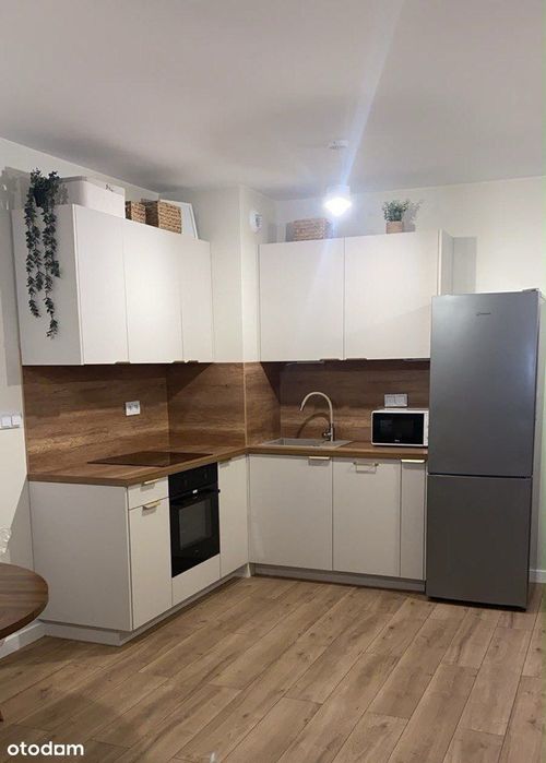 Pierwszy najemca. Dionizosa,4. 2-pokojowe mieszkanie.Duży balkon.