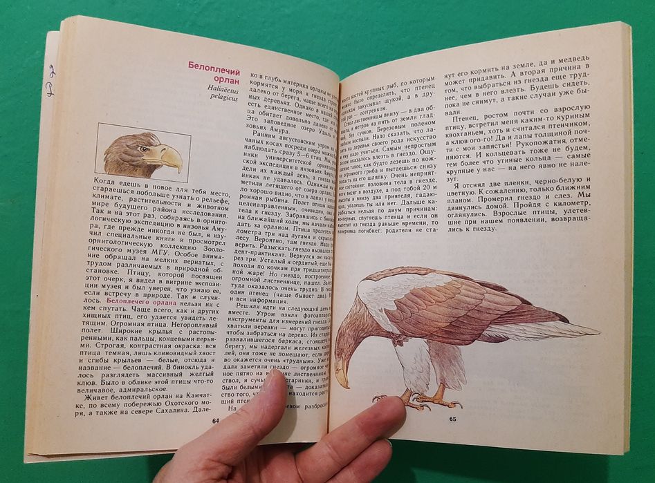 Птицы Красной Книги СССР. Книга. Альманах.