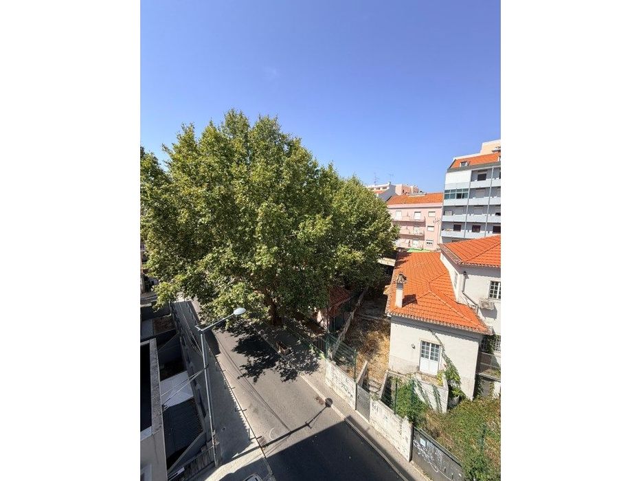 T2 a estrear no centro de Queluz