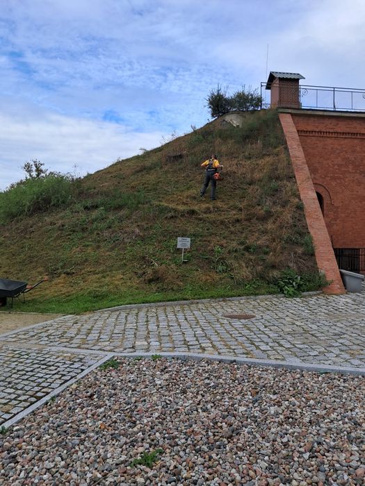 Prace ogrodowe ,usługi sprzątania ,porządkowania