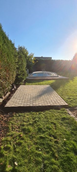 Przycinanie drzew i krzewów, tuji