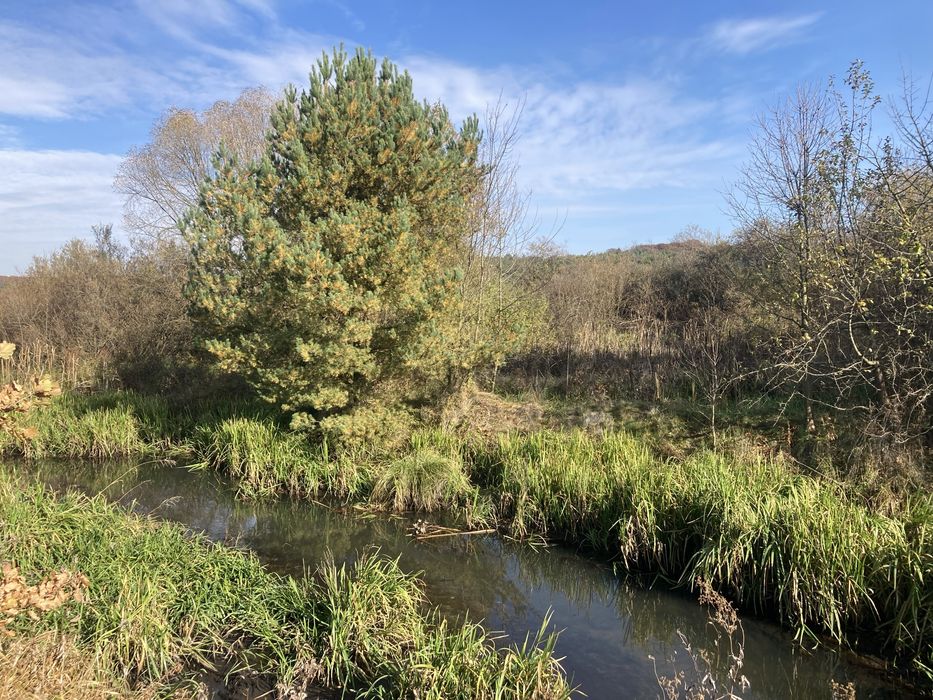 Продаж земельної ділянки  біля озера  с. Лелехівка