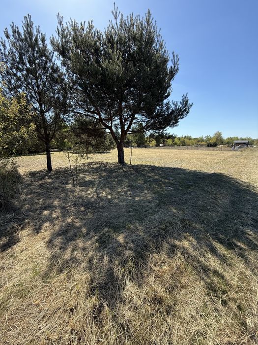 Działka budowlana 1288 m² z prądem Adamowa Góra - Widok 3