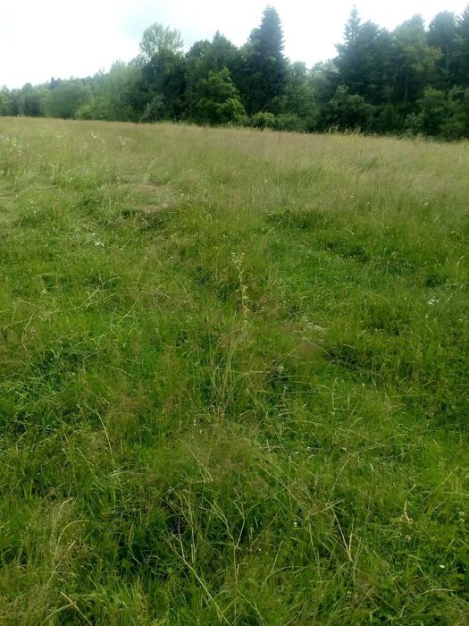 Продам земельну ділянку