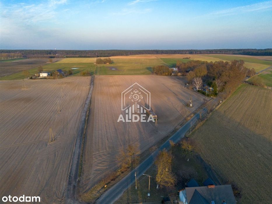 Działki budowlane 500 m od Jeziora Gąsawskiego